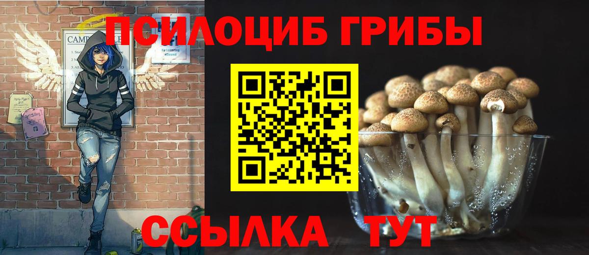 Псилоцибиновые грибы мухоморы Красногорск