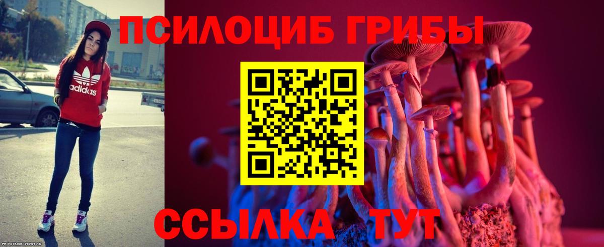 Красногорск  Галлюциногенные грибы GOLDEN TEACHER  Вход с VPN 